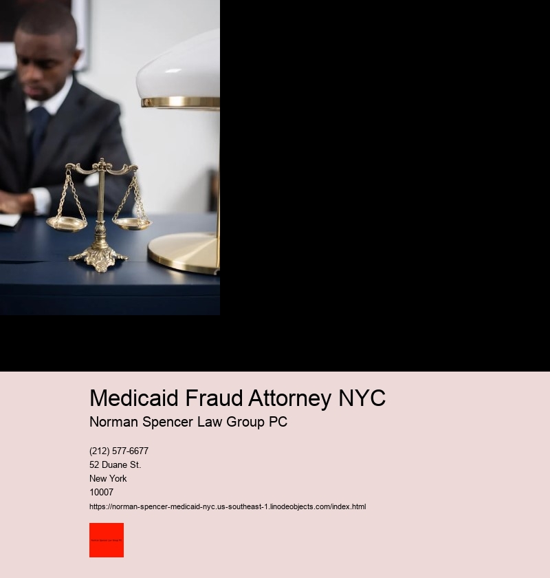 What is the Significance of a Medicaid Fraud Attorney in NYC's Legal System?