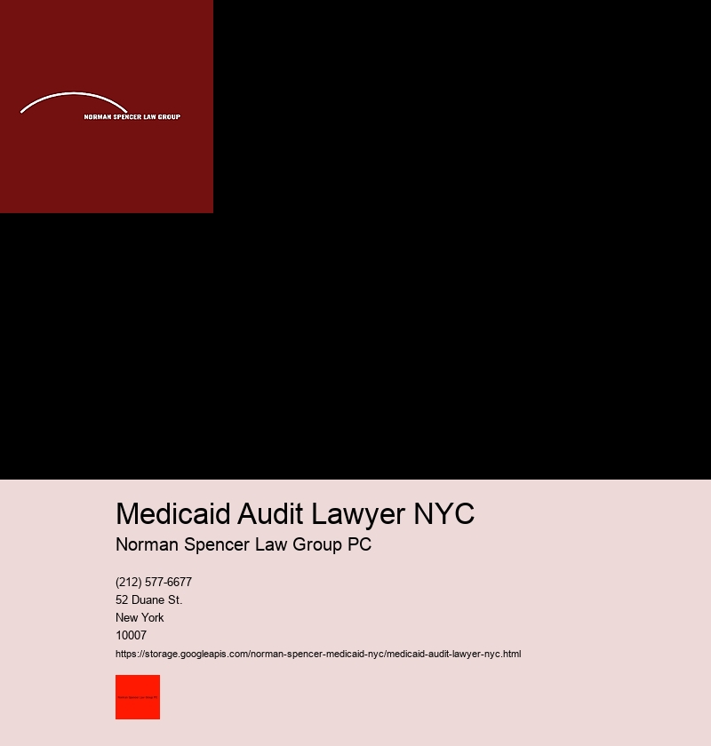 What is the Significance of a Medicaid Fraud Attorney in NYC's Legal System?