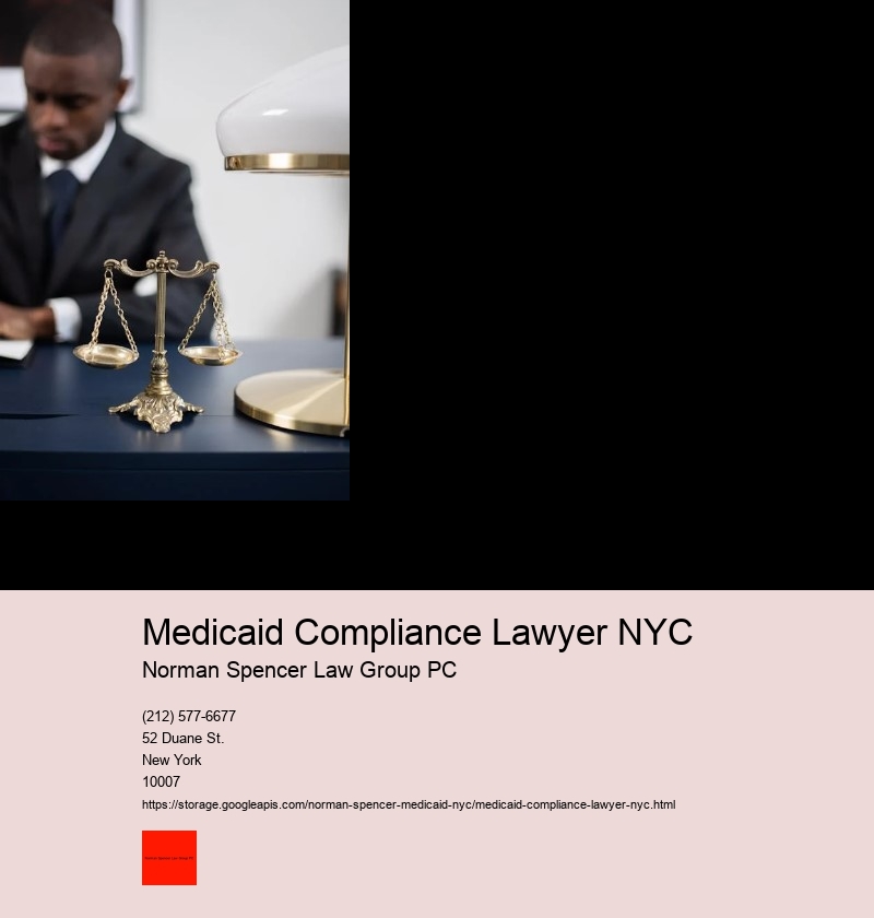 What is the Role of a Medicaid Fraud Attorney in NYC?