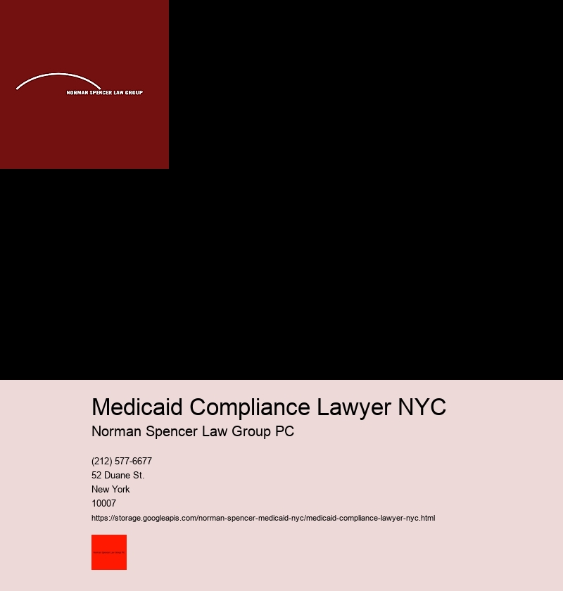 What is it like Working with a Medicaid Fraud Attorney in NYC?.