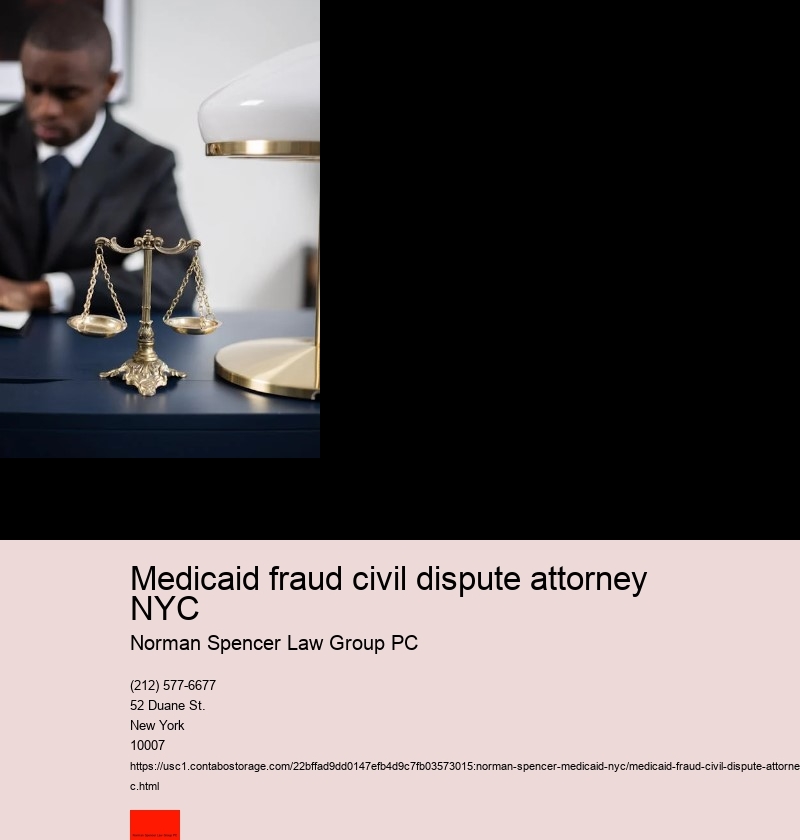 Medicaid fraud civil dispute attorney NYC