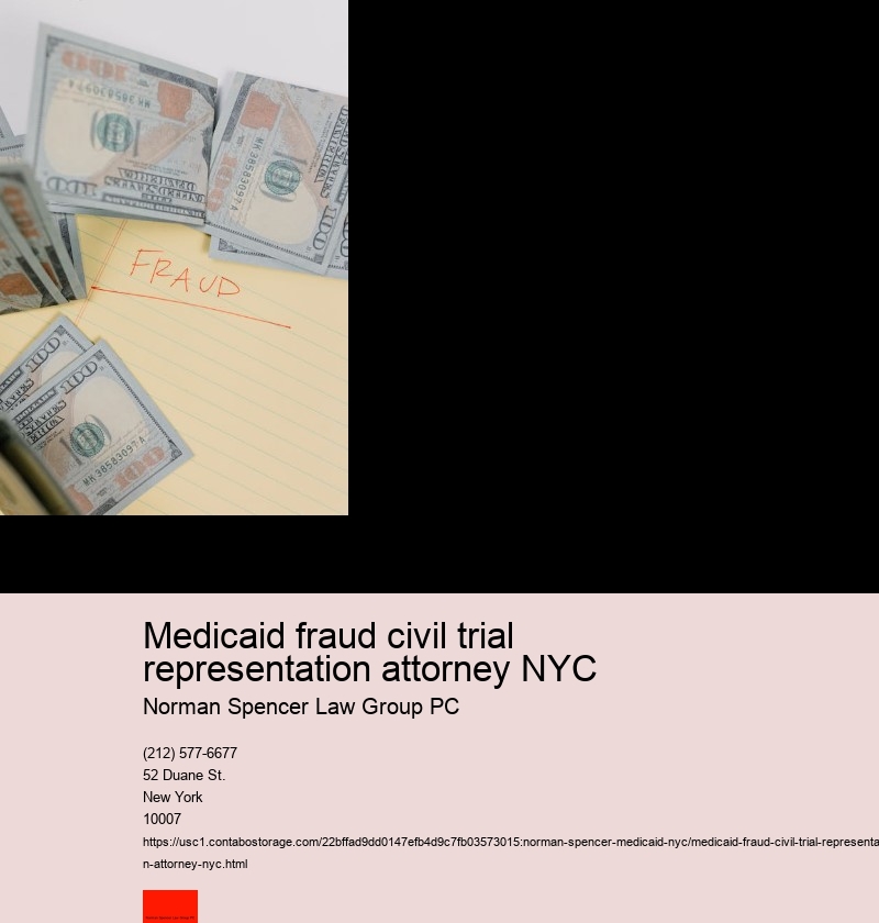Medicaid fraud civil trial representation attorney NYC