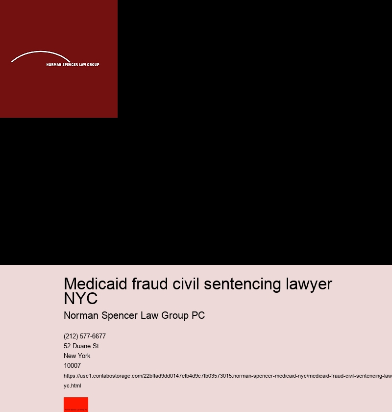 Medicaid fraud civil sentencing lawyer NYC