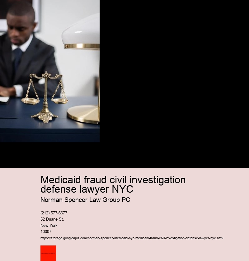 Understanding Medicaid fraud in New York City: An Overview