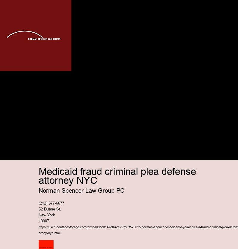 Medicaid fraud criminal plea defense attorney NYC