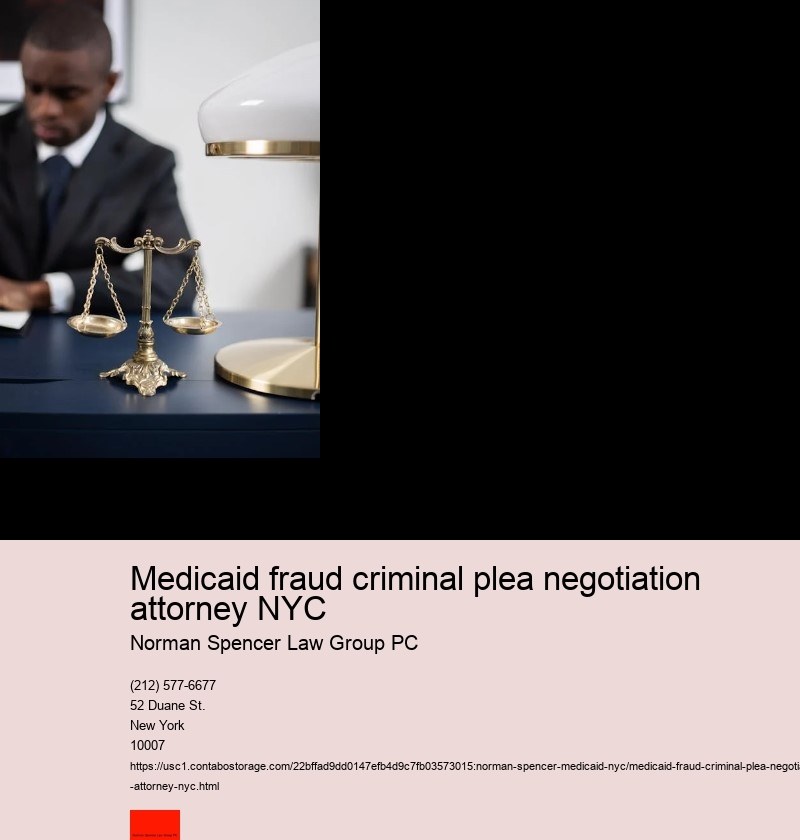 Medicaid fraud criminal plea negotiation attorney NYC