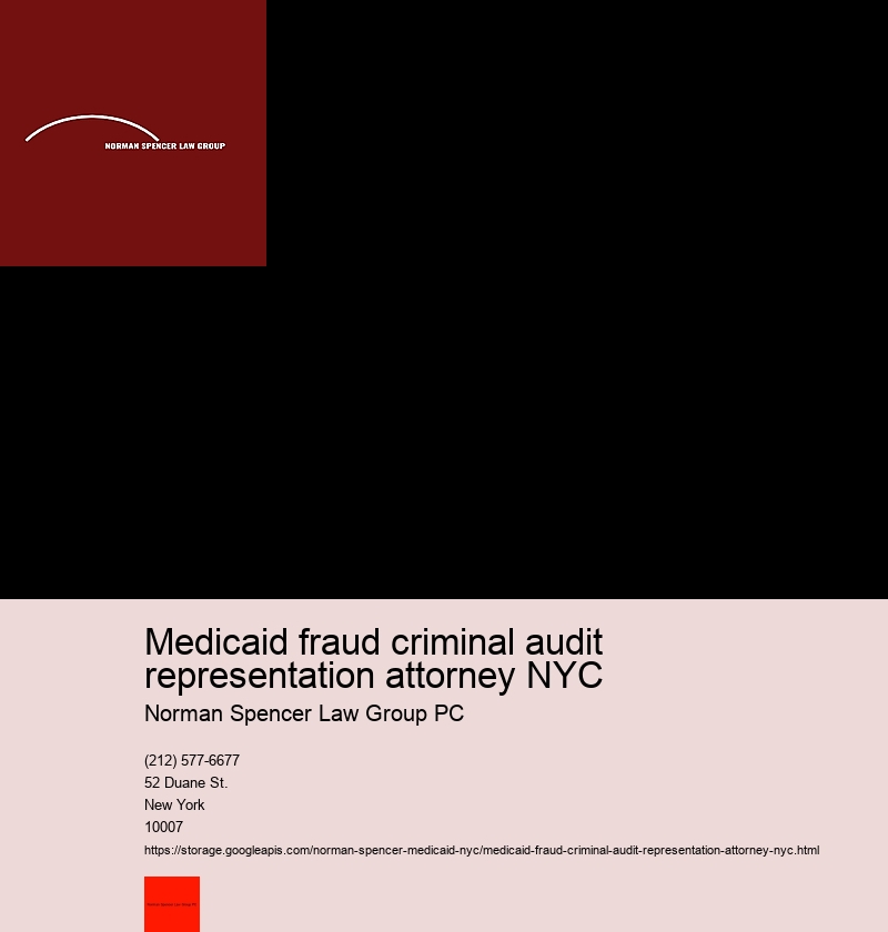 How to Use the Services of a Medicaid Fraud Attorney for Your Case in NYC