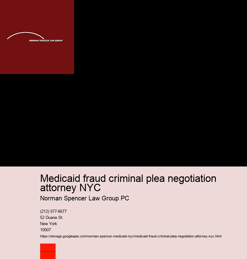 How to Navigate Through Your First Meeting with a NYC Medicaid Fraud Attorney 