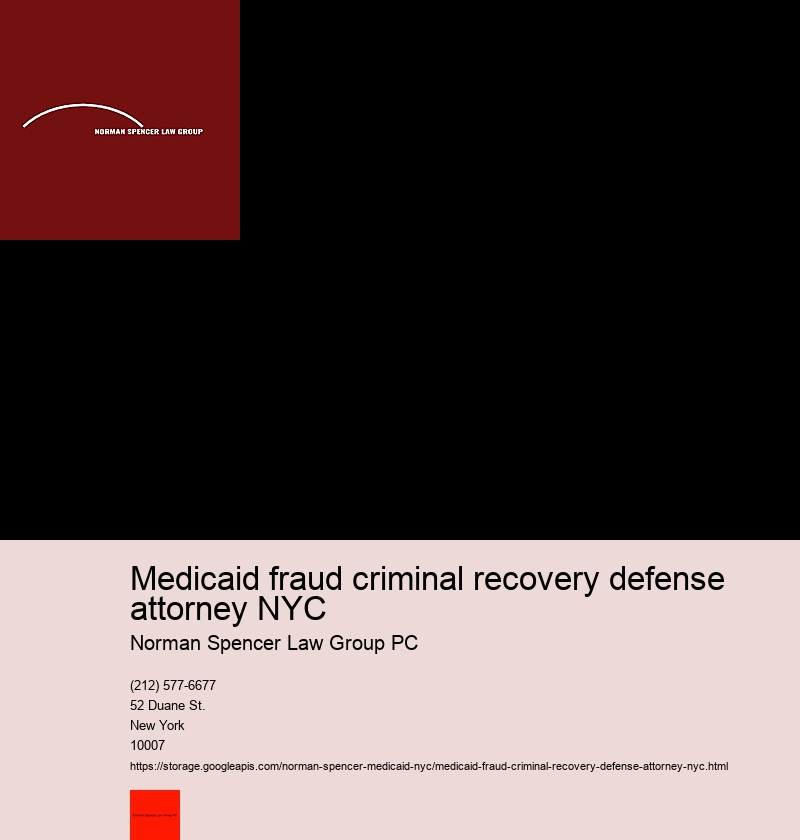 How to Navigate Through Your First Meeting with a NYC Medicaid Fraud Attorney 