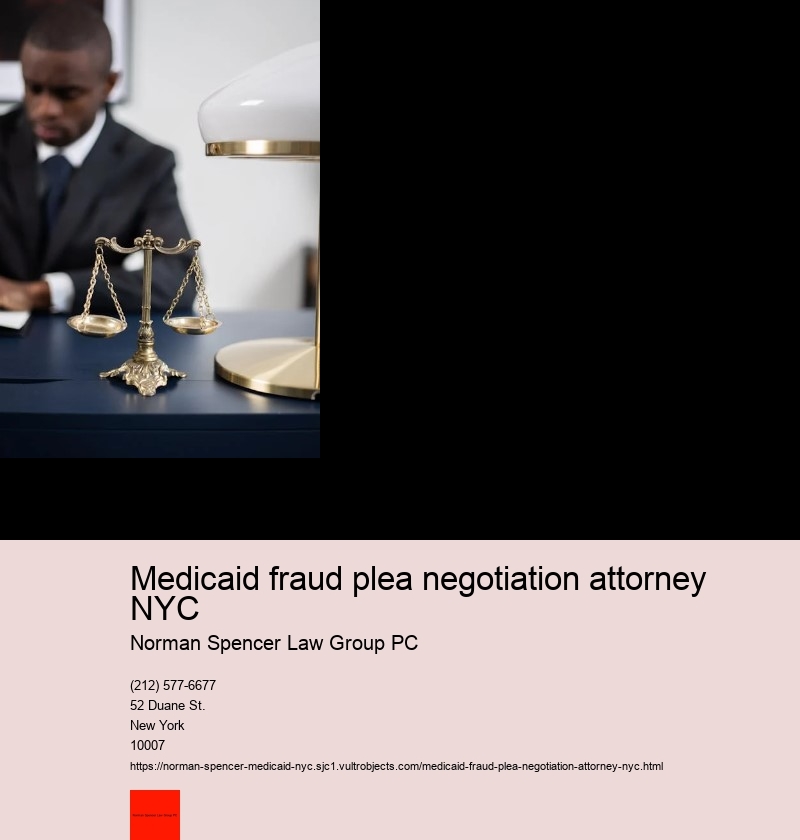 Medicaid fraud plea negotiation attorney NYC