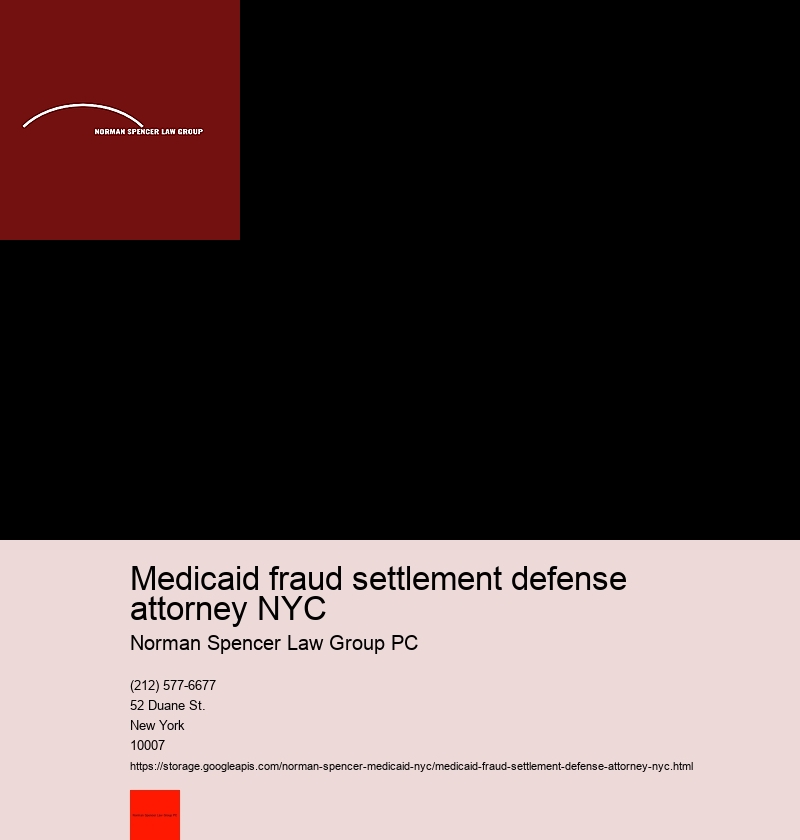 Understanding Medicaid fraud in New York City: An Overview